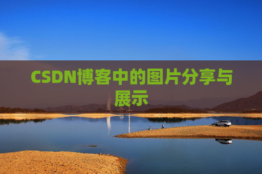 CSDN博客中的图片分享与展示